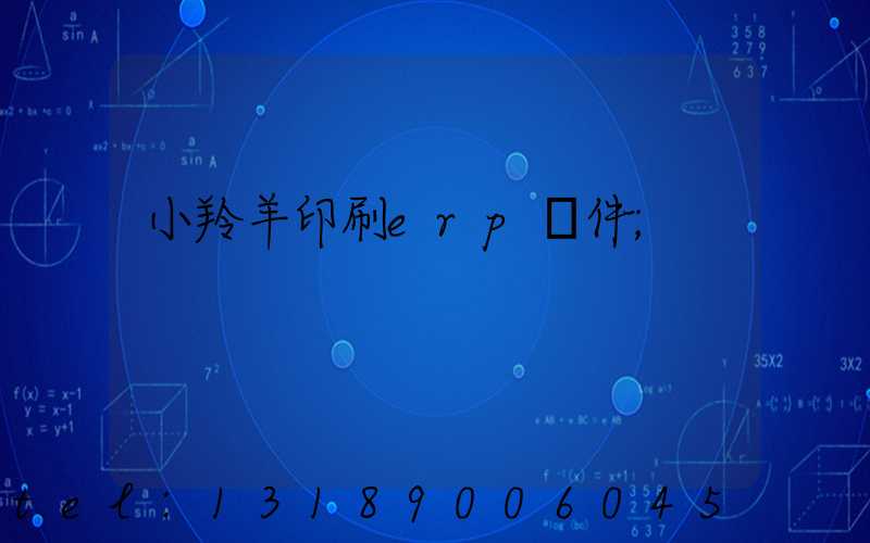 小羚羊印刷erp軟件